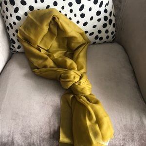 🆕 Theory Cashmere Chartreuse Scarf